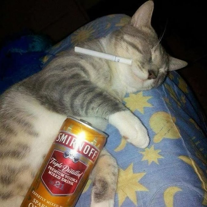 A tabby cat lies sleeping on a star-patterned blanket with a cigarette resting on its face and a can of Smirnoff Triple Distilled vodka placed against its body.