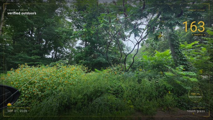 A forest scene with yellow wildflowers shows overlaid text reading 'verified outdoors', 'PROUD OF DEREK', 'DAY 163', 'TOP 1% GRASS TOUCHERS', 'TOUCH GRASS', and 'SEP 01, 2026'.