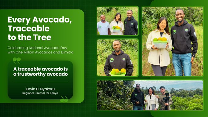 A promotional graphic titled 'Every Avocado, Traceable to the Tree' celebrates National Avocado Day with One Million Avocados and Dimitra, featuring photos of people holding avocados in a field and a quote from 'Kevin D. Nyakaru, Regional Director for Kenya'.