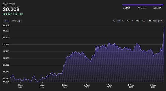 A cryptocurrency price chart for ADA/TOKEN showing a current price of '$0.208' with a 22.44% increase, displayed on a TradingView interface.