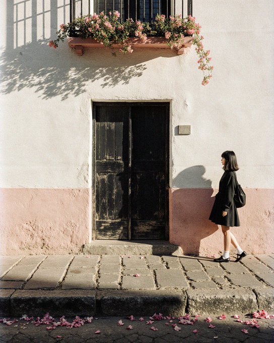 A woman in a black dress walks past a rustic wooden door on a white and pink building, with pink flowers in a window box above and fallen petals on the sidewalk.