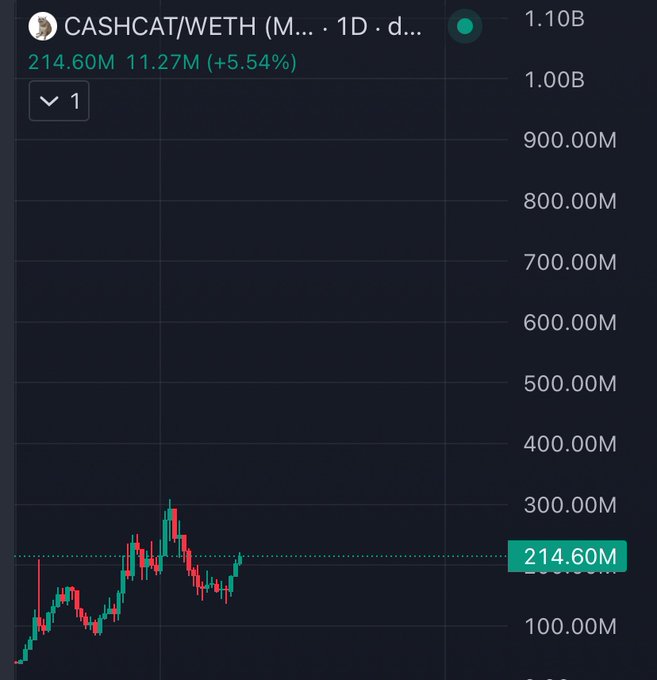 The image shows a TradingView chart of CASHCAT/WETH with the current market cap highlighted at $214.60M, displayed in green to indicate a +5.54% gain.

The chart directly supports the post's claim that CASHCAT has reclaimed the $200M market cap level, with the green price action on the right side of the chart illustrating the recent upward momentum that the post attributes to picking up volume and potential for a new ATH.