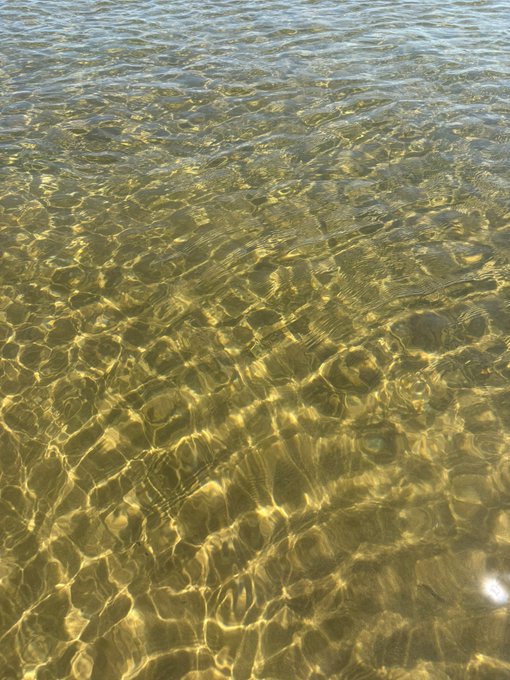 A close-up view of clear, shallow water with sunlight creating rippling golden reflections on the sandy bottom.