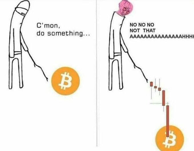The image is a two-panel meme where a stick figure urges Bitcoin ("C'mon, do something...") only to scream in horror ("NO NO NO NOT THAT AAAAAAAAAAAAHHH") as BTC crashes downward on a steep red candlestick chart. It humorously depicts the classic crypto holder reaction of hoping for any move except a price crash.