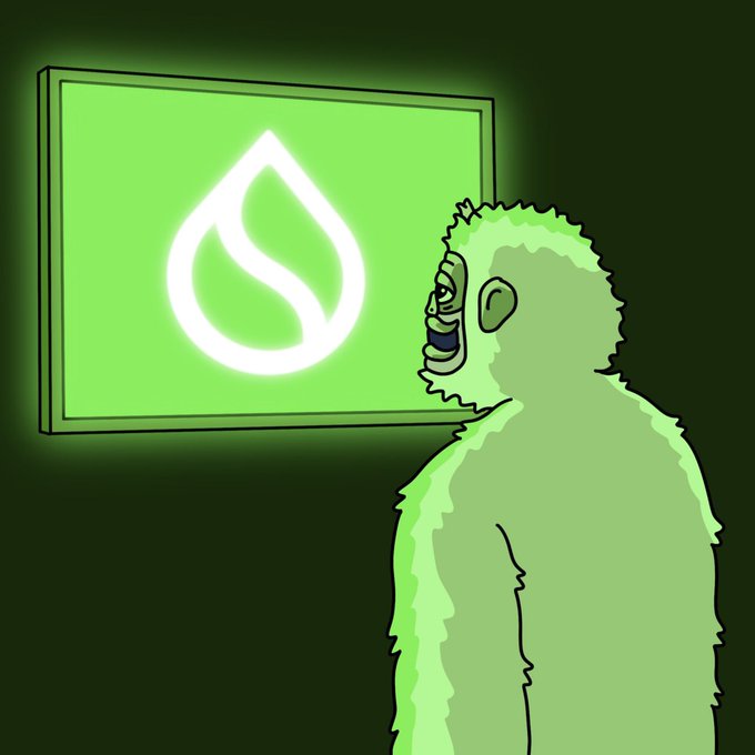 A cartoon green gorilla gazes in awe at a glowing Sui Network logo (the stylized water drop emblem) displayed on a bright screen, perfectly matching the post's "Sui Szn" hype. The meme humorously captures the excitement and reverence of a crypto fan witnessing the Sui brand.