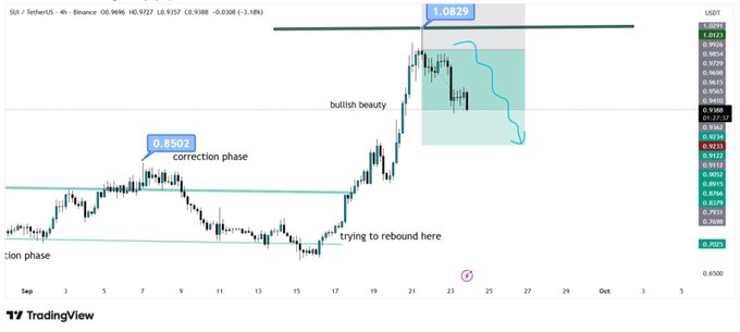 A 4-hour TradingView chart of SUI/USDT on Binance shows the token's recent rally peaking near $1.0829 before pulling back from a "bullish beauty" high, with current price action hovering around $0.9088 near a support zone labeled "trying to rebound here" at the $0.8502 correction level.