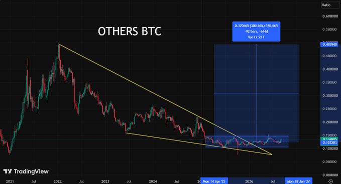 A TradingView chart titled "OTHERS BTC" displaying a long-term downward wedge pattern in yellow with a blue highlight box on the right indicating a potential breakout target of 0.559665, with dates ranging from 2021 to 2027.