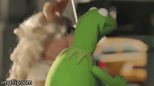 The image features a cartoon character, specifically Kermit the Frog from Muppets, standing next to a person with blonde hair wearing a white dress. The caption for this image reads "I'll take a Bitcoin-related crash on the first of the month and the first of the week than on the last of the month or on a Friday." This suggests that the post is related to Bitcoin and its market trends, possibly discussing the best time to invest in Bitcoin based on the post's content.