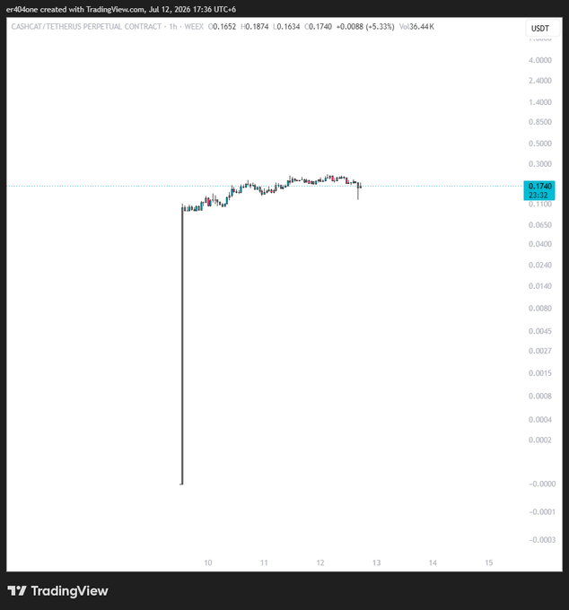 The image shows a TradingView 1-hour chart for the CASHCAT/USDT perpetual contract, displaying a vertical price spike from near $0.0000 up to approximately $0.1740 followed by a sharp selloff to $0.1634 (down 5.33%), illustrating the classic pump-and-dump pattern consistent with the "$CASHCAT scam" claim.