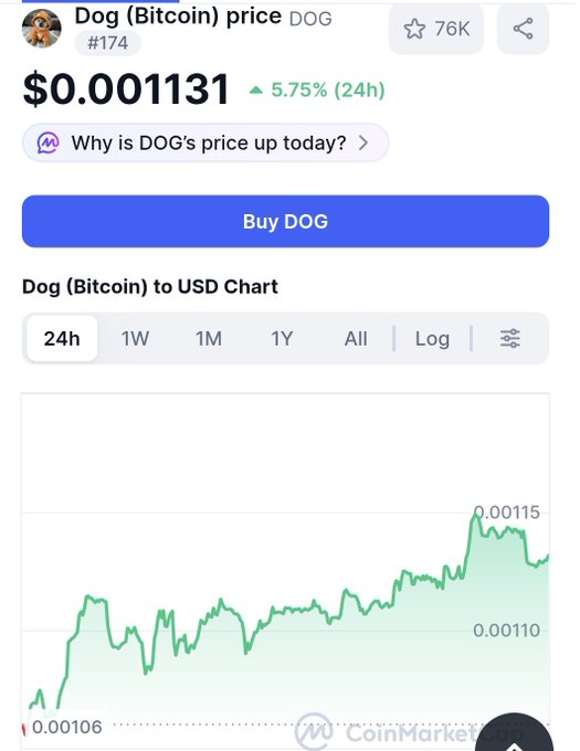 A CoinMarketCap-style screenshot showing the price of Dog (Bitcoin) ticker 'DOG' at $0.001131, up 5.75% in 24 hours, with a green price chart visible.