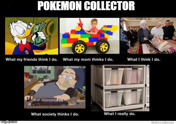 The image shows a poster with six different cartoon illustrations depicting various aspects of being a Pokemon collector. The first illustration features a person holding a large amount of money, while the second one shows a person playing with a toy car. The third illustration depicts a person sitting at a desk surrounded by Lego blocks and other toys. The fourth illustration shows a person using a computer mouse to play a game on their laptop. The fifth illustration is a cartoon character wearing glasses holding a book about Pokemon. The final image is a cartoon character holding a book titled "Pokemon Collector". These illustrations are arranged in a grid format, with each row representing a different aspect of being a Pokemon collector and the columns representing different aspects such as money, toys, games, computers, Lego, and books.