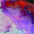 An abstract, colorful image with a textured, marbled appearance featuring swirling shades of purple, pink, red, and blue.