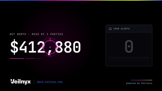 A dark digital dashboard displays a net worth of $412,880 with the Veilnyx logo and text 'docs.veilnyx.com' visible.