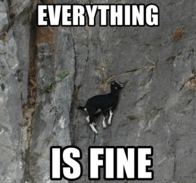 A meme shows a black goat clinging to a steep cliff face with the text "EVERYTHING IS FINE".
