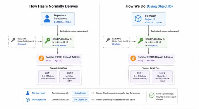 A technical diagram titled 'How Hashi Normally Derives' and 'How We Do (Using Object ID)' comparing Bitcoin Taproot address derivation methods using either a Sui Address or Sui Object ID, with identical script tree designs (Hash MPC and Hashi Key + 60-day timelock CSV).