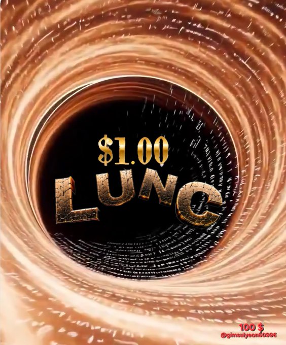 A tunnel-like visual with concentric copper circles framing the text '$1.00 LUNG' in gold lettering at the center, with a watermark '@ginsulyon60652'.