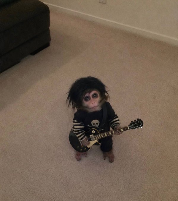 A small monkey dressed in a striped shirt and skull-print top stands on a carpet holding a miniature electric guitar.