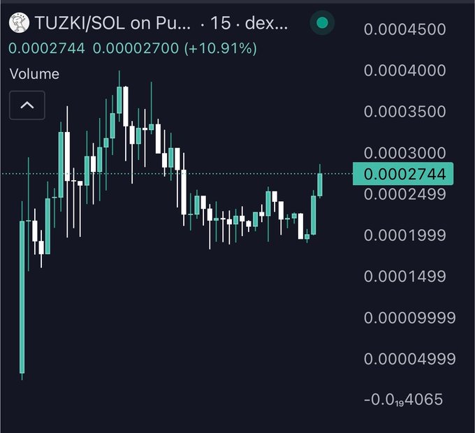 A candlestick chart of $TUZKI/SOL on a DEX (15-minute timeframe) shows the token up 10.91% to 0.00002744, with the price holding steady near recent lows after an initial rally, suggesting consolidation before a potential breakout—aligning with the poster's bullish outlook.