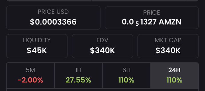 A cryptocurrency price tracker displaying a token priced at $0.0003366 USD or 0.051327 AMZN, with a liquidity of $45K, FDV of $340K, market cap of $340K, and performance metrics showing -2.00% (5M), 27.55% (1H), and 110% (6H and 24H).