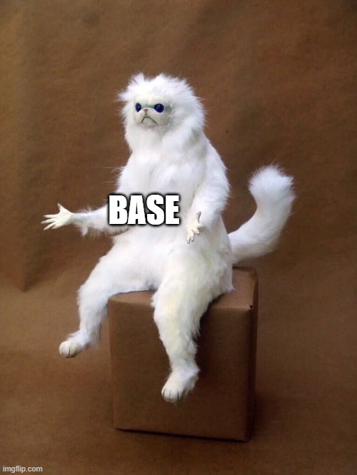 A fluffy white cat plush/toy figure with a grumpy face sitting upright on a cardboard box, labeled 'BASE' in bold white text, from imgflip.com.