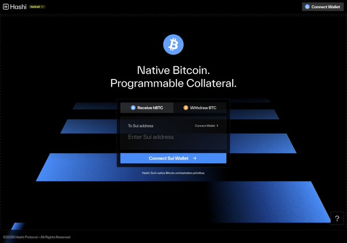 A screenshot of the Hoshi Protocol website featuring the text 'Native Bitcoin. Programmable Collateral.' with a widget for receiving hBTC or withdrawing BTC.