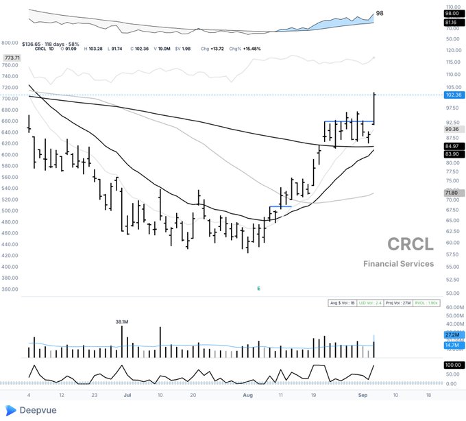A stock chart from Deepvue showing CRCL (Circle Financial Services) ticker with a 118-day price view, displaying a notable upward trend with candlestick patterns, moving averages, and volume data.