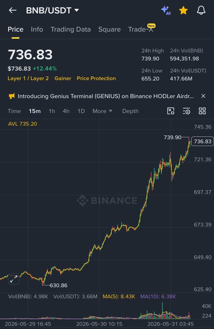 The image shows a stock chart for BNB trading, which has a downward trend. In the midst of this information, there's a price range captioned at " 720R/USDT 738,834 - 737 R/USDT 737,61" indicating that the prices of these two shares reached their lowest and highest points in May 2013. The image also displays the text that states "BNB 24 Hour's Price Range", which further explains what we are seeing on the screen.