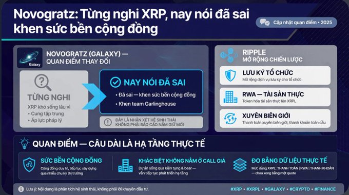 Vietnamese infographic titled 'Novogratz: Từng nghi XRP, nay nói đã sai khen sức bền cộng đồng' discussing Novogratz's changed stance on XRP and praising Ripple's resilience.