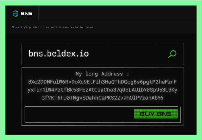 A BNS (Beldex Name Service) interface allowing users to search and purchase human-readable names, displaying 'bns.beldex.io' mapped to a long alphanumeric Beldex wallet address.