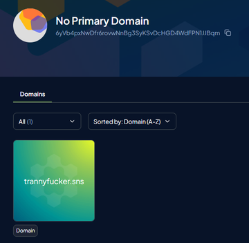 The image shows a "No Primary Domain" page displaying a wallet address beginning with "6yKb4pxNwDf6rovwNnBg3SyKSvDctHGD4WdFPN1iJ8qm" with the domain "trannyfucker.sns" listed below it, matching the post's claim about gifting a custom .sns domain that can be found by searching the associated wallet address on Solscan.