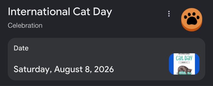 A digital calendar or information card displays 'International Cat Day' as a 'Celebration' with the date 'Saturday, August 8, 2026', alongside an orange paw print icon.