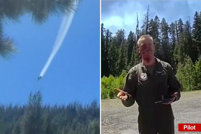Split image showing a plane trailing smoke over a forest on the left and a smiling man in a flight suit labeled 'Pilot' standing in a forested area on the right.