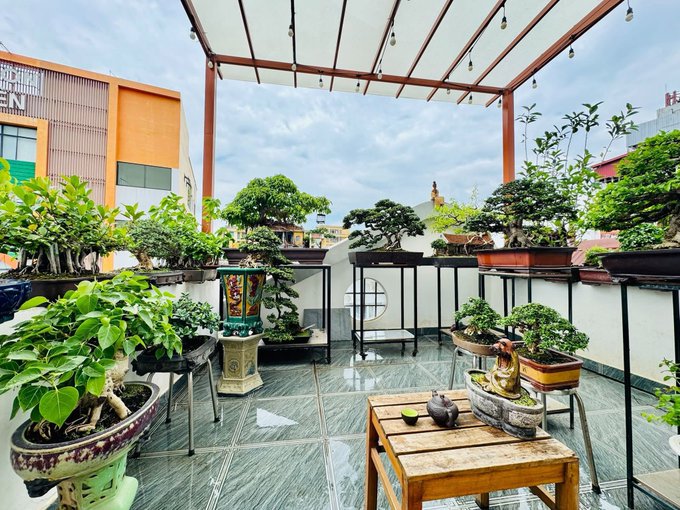 An outdoor rooftop terrace displaying a collection of bonsai trees in various pots arranged on stands, set against a cloudy sky with a small wooden table holding a teapot in the foreground.