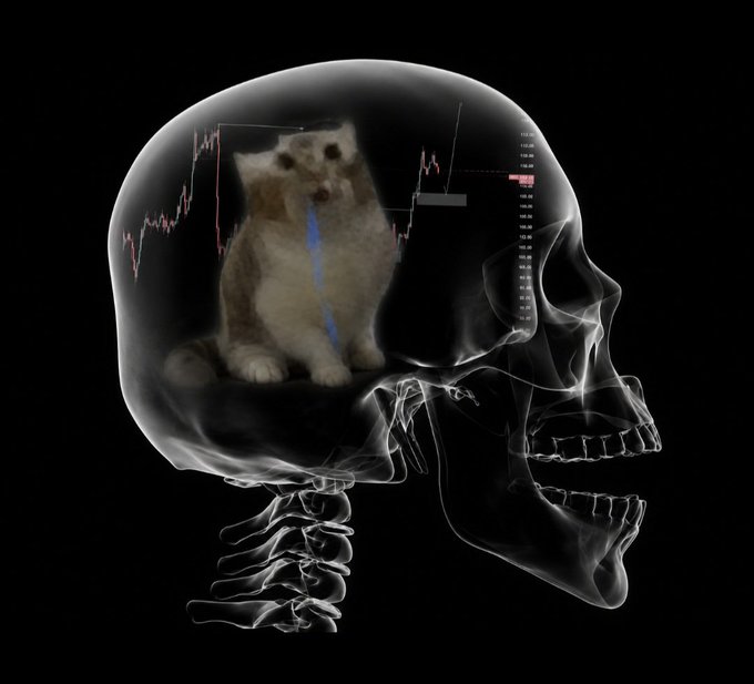 A surreal x-ray-style image of a skull with a sad cat and a stock market chart drawn inside the brain area, set against a black background.