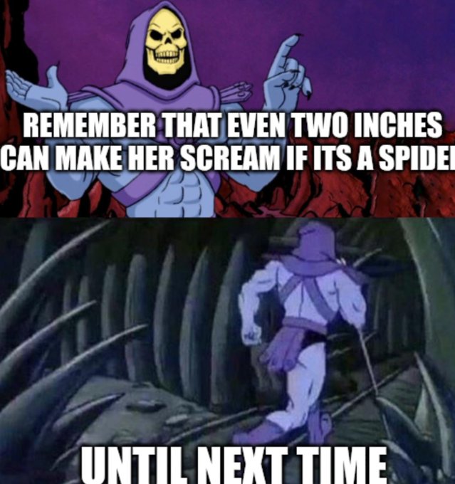 A two-panel meme featuring Skeletor from He-Man; the top panel shows him with text reading 'REMEMBER THAT EVEN TWO INCHES CAN MAKE HER SCREAM IF ITS A SPIDER,' and the bottom shows him walking away with 'UNTIL NEXT TIME.'
