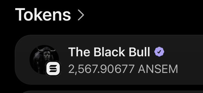 The image shows a digital wallet interface displaying a token balance of "2,567.90677 ANSEM" under the name "The Black Bull" with a verified badge, visually reinforcing the post's bullish sentiment that the $ANSEM token is on the verge of reaching its all-time high (ATH) and that holding will lead to significant gains.