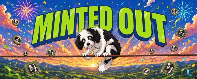 A vibrant promotional banner titled "MINTED OUT" features a fluffy black-and-white puppy perched on a wire against a colorful sunset sky with fireworks, floating coins and portraits of the dog, celebrating the sold-out mint of all 1,111 DOWA NFTs as Phase 1 concludes.