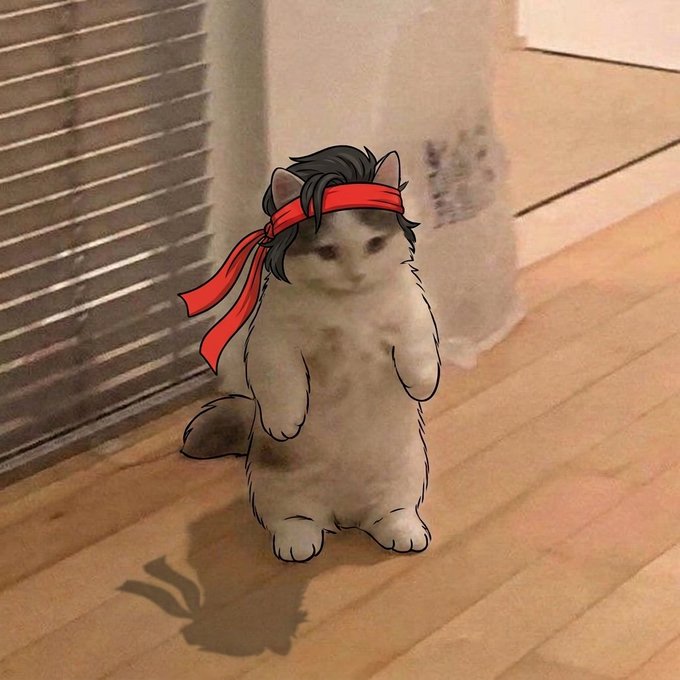 A digital drawing of a cat's head and body superimposed onto a real cat photo, edited with a black wig and red headband resembling the anime character Ryu from Street Fighter.