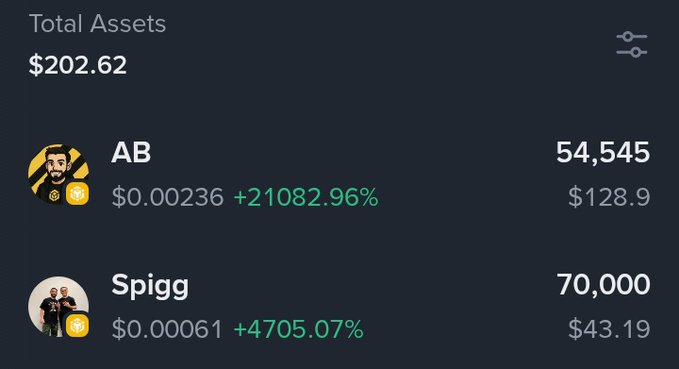 A cryptocurrency portfolio screen showing Total Assets of $202.62, with holdings in AB ($0.00236, +21082.96%) and Spigg ($0.00061, +4705.07%).