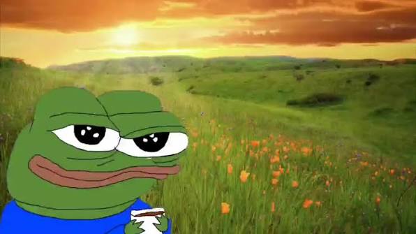 The classic "Sad Pepe" meme character holding a small cup while sitting in a green field under a sunset sky.