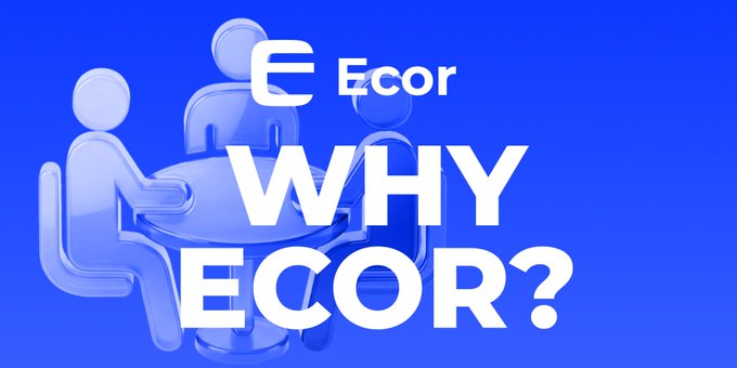 A blue graphic displays the "Ecor" logo alongside the bold white text "WHY ECOR?" with illustrated figures gathered around a table in the background. The image visually frames the accompanying post's question about Ecor's value proposition, emphasizing its role as a unified utility layer that bridges fragmented products and chains.