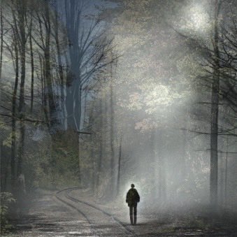 A lone figure walks down a foggy, tree-lined path as sunlight filters through the mist.
