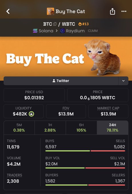 A screenshot of the "Buy The Cat" token trading page on Raydium (Solana) shows BTC/WBTC priced at $0.01392, with $482K liquidity, a $13.9M market cap, and a massive 78.11% gain over 24 hours. The post references $BTC as a potential 100M runner, humorously tying to this obscure altcoin with the BTC ticker that's currently pumping.