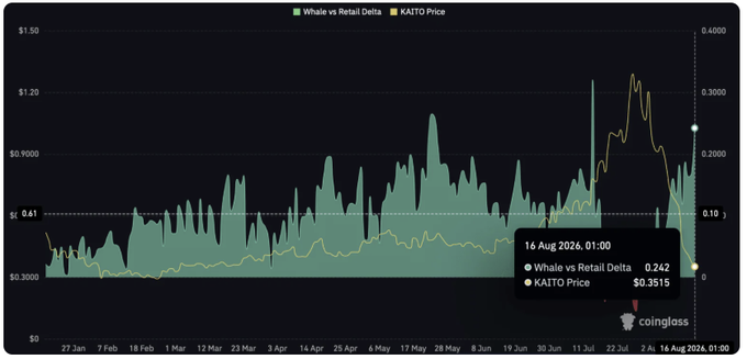 A Coinglass chart displaying 'Whale vs Retail Delta' (green area) and 'KAITO Price' (yellow line) from late January to mid-August 2026, with current values shown as 0.242 for whale vs retail delta and $0.3515 for KAITO price.