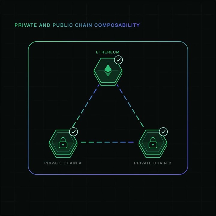 A dark-themed infographic titled "PRIVATE AND PUBLIC CHAIN COMPOSABILITY" showing a hexagonal diagram with Ethereum at the top connected to "PRIVATE CHAIN A" and "PRIVATE CHAIN B."