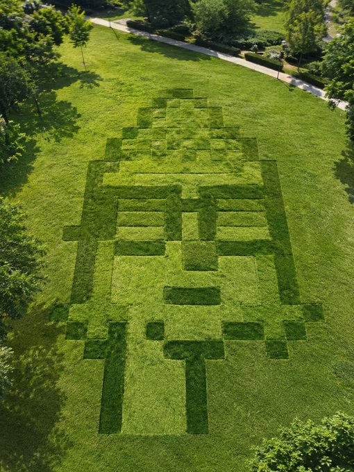 An aerial view of a lawn where grass of different shades creates a large pixelated portrait of a person.