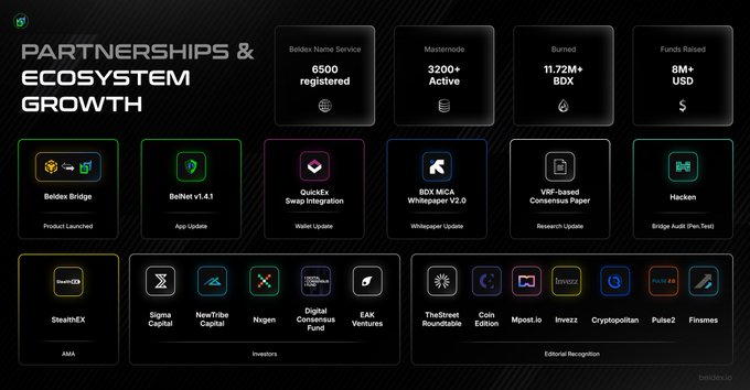 A presentation slide titled 'PARTNERSHIPS & ECOSYSTEM GROWTH' highlights metrics like '6500 registered', '3200+ Active', '11.72M+ BDX', '8M+ USD', showcasing partnerships with Beldex Bridge, QuickEx, Sigma Capital, and others.