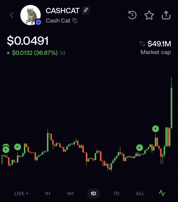 A Robinhood-style chart for CASHCAT shows the token at $0.0491, up $0.0132 (36.87%) in 24 hours, with a $49.1M market cap and a sharply rising green candle at the end of the daily chart—visually suggesting a potential bottom rebound to support the "bottom is in?" caption.