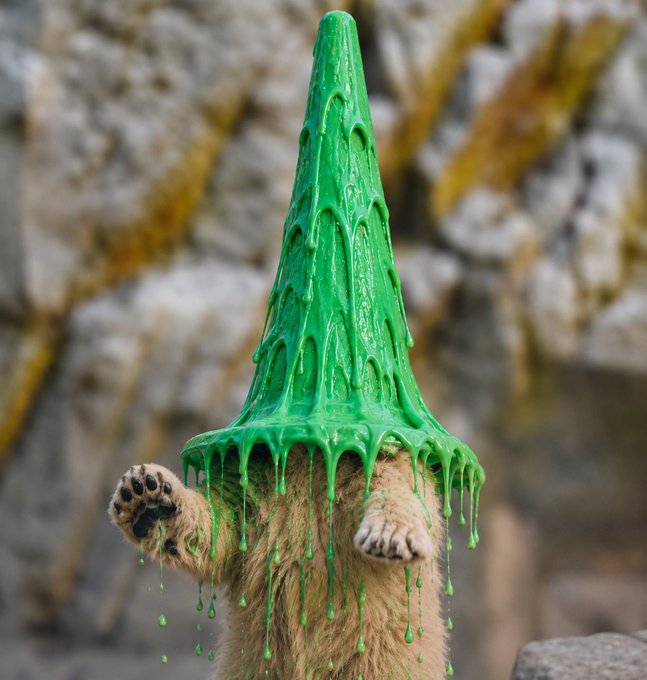 A funny cat wearing a tall, pointy green cone dripping with green paint, raising one paw against a rocky background.