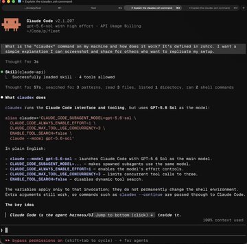 A screenshot of a command-line interface displaying documentation for the Claude Code v2.1.207 tool, explaining the `/skill` command and its integration with Claude API.